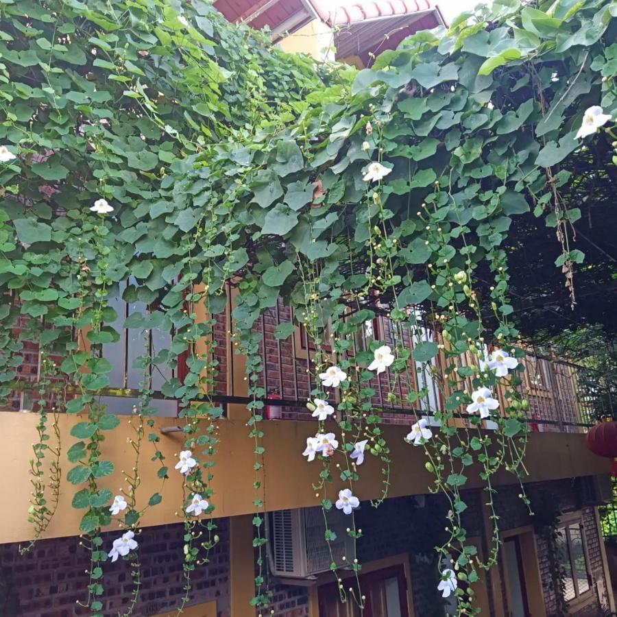 Green Space Homestay 닌빈 외부 사진